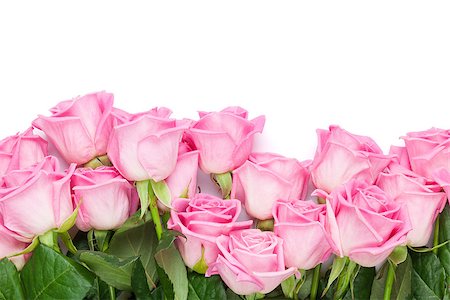simsearch:400-08110734,k - Valentines day background with pink roses. Isolated on white. Top view with copy space Stock Photo - Budget Royalty-Free & Subscription, Code: 400-08037279
