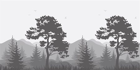 simsearch:400-07830872,k - Seamless, mountain landscape with pines, conifer trees, birds and grass, gray silhouettes. Vector Stock Photo - Budget Royalty-Free & Subscription, Code: 400-08037815