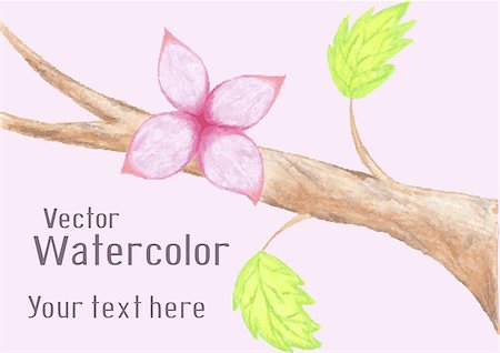 simsearch:400-07421243,k - Gentle fairy tale pink watercolor flower on branch of tree. Vector background Stock Photo - Budget Royalty-Free & Subscription, Code: 400-08037938