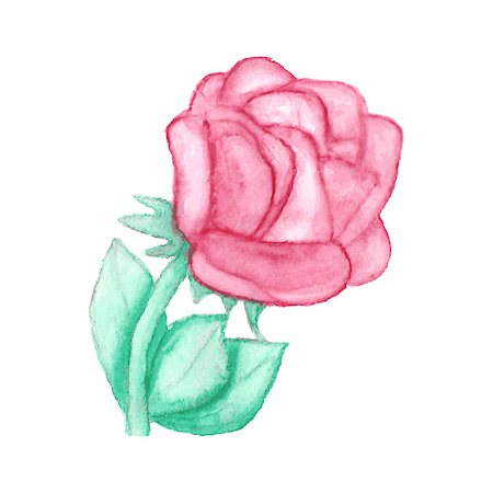 simsearch:400-09170984,k - Gentle watercolor rose. Vector illustration Stockbilder - Microstock & Abonnement, Bildnummer: 400-08038970