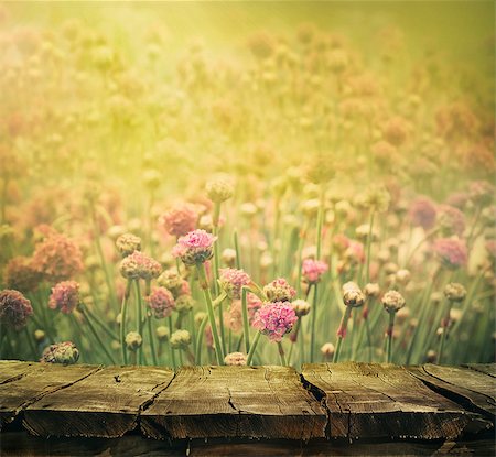 Spring background with tabletop. Flowers background. Wood table Stock Photo - Budget Royalty-Free & Subscription, Code: 400-08039968