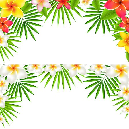 simsearch:400-05282502,k - Tropical Flowers Border Set, With Gradient Mesh, Vector Illustration Photographie de stock - Aubaine LD & Abonnement, Code: 400-08032100