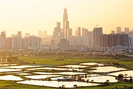 simsearch:400-07630733,k - hong kong countryside sunset, rice field and modern office buildings Stock Photo - Budget Royalty-Free & Subscription, Code: 400-08032134