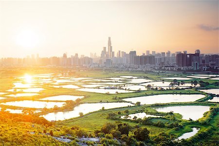 simsearch:400-07630733,k - hong kong countryside sunset, rice field and modern office buildings Stock Photo - Budget Royalty-Free & Subscription, Code: 400-08032135