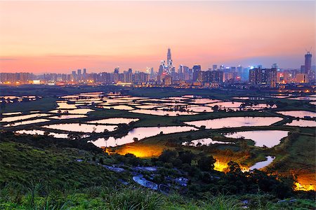 simsearch:400-07630733,k - hong kong countryside sunset, rice field and modern office buildings Stock Photo - Budget Royalty-Free & Subscription, Code: 400-08032136