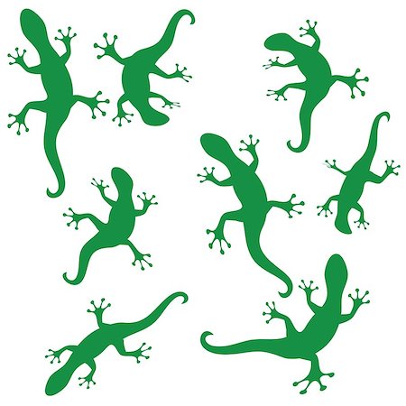 salamandra - illustration  with green silhouettes of salamander on white background Fotografie stock - Microstock e Abbonamento, Codice: 400-08032160