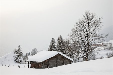 footprint winter landscape mountain - Old barn on snowy field in the Swiss Alps. Grindelwald, Switzerland. Photographie de stock - Aubaine LD & Abonnement, Code: 400-08033266