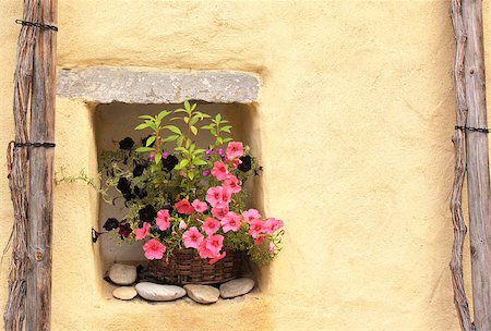 petunia - Flowerpot with petunias and stucco wall Foto de stock - Super Valor sin royalties y Suscripción, Código: 400-08033436