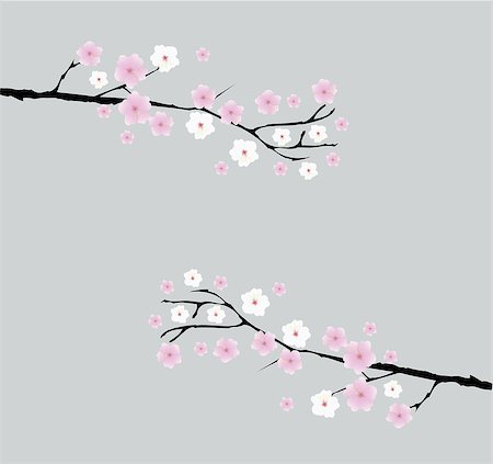 simsearch:400-04778102,k - vector cherry blossom branches with space for text Fotografie stock - Microstock e Abbonamento, Codice: 400-08033981