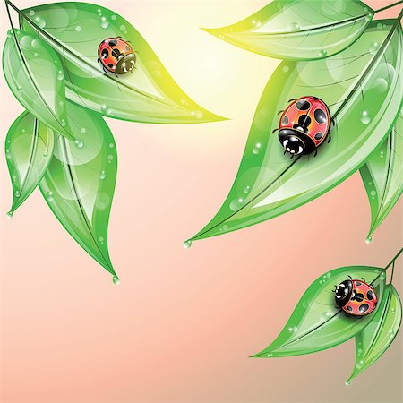 simsearch:400-07984864,k - Red ladybugs on the green leaves after the rain on colorful background. Stockbilder - Microstock & Abonnement, Bildnummer: 400-08044216