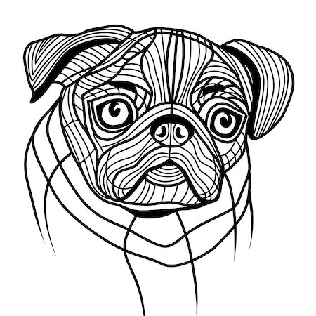 simsearch:400-09158556,k - Dog pug head vector animal illustration for t-shirt. Sketch tattoo design. Foto de stock - Royalty-Free Super Valor e Assinatura, Número: 400-08044541