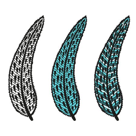 simsearch:400-08409546,k - Doodling hand drawn amazing feathers with patterns, contour and colorful, vector illustration Photographie de stock - Aubaine LD & Abonnement, Code: 400-08044917