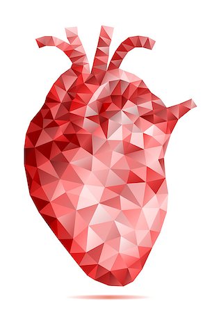 pink science - abstract low poly human heart with geometric pattern, vector Stock Photo - Budget Royalty-Free & Subscription, Code: 400-08045171