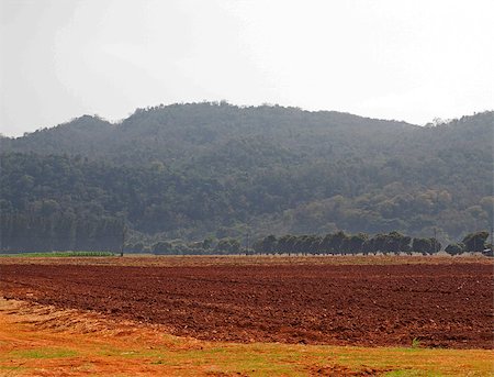 View of plowed field ready for new crops Stock Photo - Budget Royalty-Free & Subscription, Code: 400-08047724