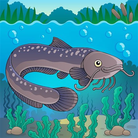 simsearch:400-08614096,k - Freshwater fish topic image 2 - eps10 vector illustration. Stock Photo - Budget Royalty-Free & Subscription, Code: 400-08047759