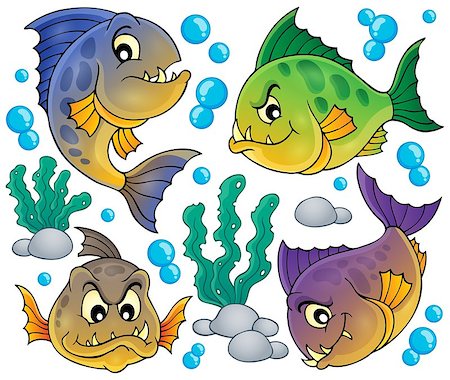 freshwater fish vector - Piranha fishes collection - eps10 vector illustration. Stock Photo - Budget Royalty-Free & Subscription, Code: 400-08047775