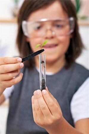 Young boy study plant evolution in science class - closeup, focus on plant Foto de stock - Super Valor sin royalties y Suscripción, Código: 400-08054403