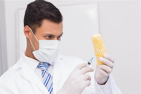 Scientist injecting a corn cob in the lab Foto de stock - Super Valor sin royalties y Suscripción, Código: 400-08054986