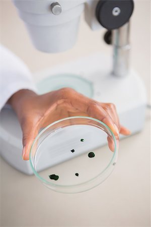 simsearch:400-08055357,k - Scientist examining petri dish in laboratory Stock Photo - Budget Royalty-Free & Subscription, Code: 400-08055361