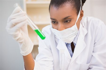 simsearch:400-08055357,k - Concentrated scientist analyzing test tube in laboratory Stock Photo - Budget Royalty-Free & Subscription, Code: 400-08055376