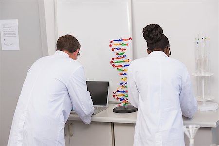 simsearch:6109-08389507,k - Scientists working with laptop in laboratory Stock Photo - Budget Royalty-Free & Subscription, Code: 400-08055444