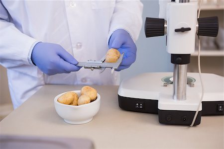 Scientist measuring potatoes in the laboratory Foto de stock - Super Valor sin royalties y Suscripción, Código: 400-08055486