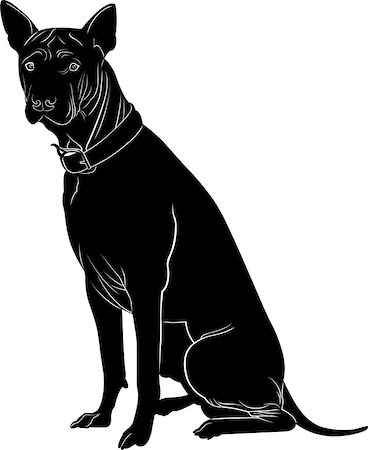 retriever silhouette - dog Stock Photo - Budget Royalty-Free & Subscription, Code: 400-08056745