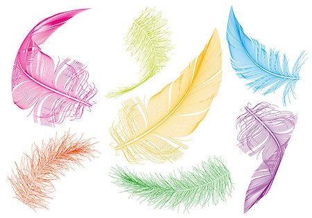 falling feathers - colorful flying feathers, vector set Stock Photo - Budget Royalty-Free & Subscription, Code: 400-08050361