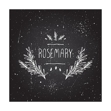 Herbs and Spices Collection - Rosemary. Hand-sketched typographic element on chalkboard background. Suitable for ads, signboards, packaging and identity designs Stock Photo - Budget Royalty-Free & Subscription, Code: 400-08051218