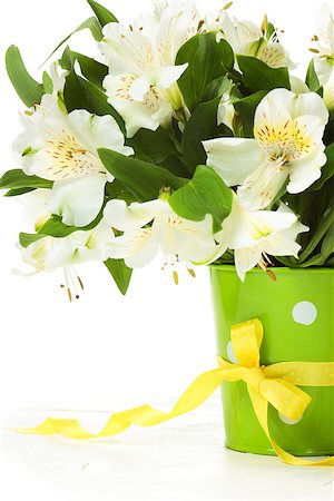 Bouquet of alstroemeria flowers on white background Stock Photo - Budget Royalty-Free & Subscription, Code: 400-08051449
