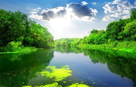 simsearch:400-04873565,k - Silent river through the green forest in summer Fotografie stock - Microstock e Abbonamento, Codice: 400-08051972