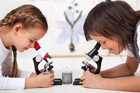 school biology - Young kids in science lab study samples under the microscope - biology class Stock Photo - Budget Royalty-Free & Subscription, Code: 400-08052494