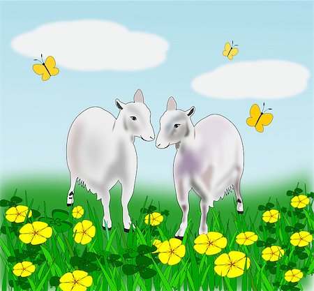 simsearch:400-08114943,k - Two goats standing together in a field of flowers with butterflies. Stock Photo - Budget Royalty-Free & Subscription, Code: 400-08053165