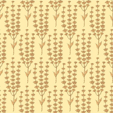 simsearch:400-08077627,k - Sketch basil herb in vintage style, vector seamless pattern Stock Photo - Budget Royalty-Free & Subscription, Code: 400-08053402