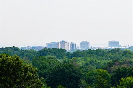 Top of green forest against buildings in distance and hazy sky. Fotografie stock - Microstock e Abbonamento, Codice: 400-08074008