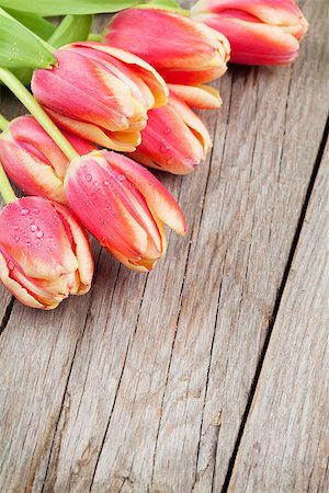 simsearch:400-08036453,k - Colorful tulips on wooden table. Top view with copy space Stock Photo - Budget Royalty-Free & Subscription, Code: 400-08074227