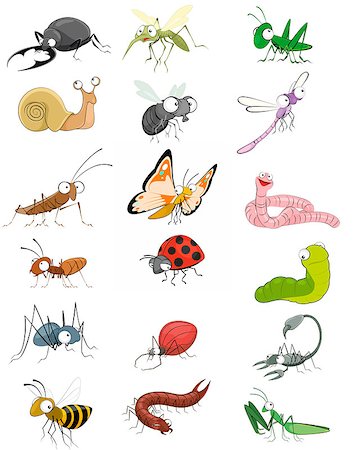 Vector illustration of an icons insects set Foto de stock - Royalty-Free Super Valor e Assinatura, Número: 400-08074604