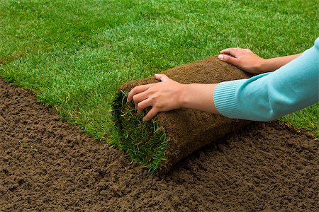 simsearch:400-08074641,k - Woman applying turf rolls in the backyard Stock Photo - Budget Royalty-Free & Subscription, Code: 400-08074644