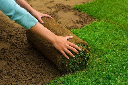 simsearch:400-08074641,k - Woman applying turf rolls in the backyard Stock Photo - Budget Royalty-Free & Subscription, Code: 400-08074641