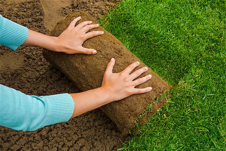 simsearch:400-08074641,k - Woman applying turf rolls in the backyard Stock Photo - Budget Royalty-Free & Subscription, Code: 400-08074642