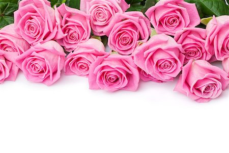 simsearch:400-08110734,k - Valentines day background with pink roses. Isolated on white with copy space Stock Photo - Budget Royalty-Free & Subscription, Code: 400-08074813