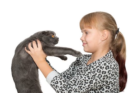 Portrait of cute little girl with grey cat isolated Stockbilder - Microstock & Abonnement, Bildnummer: 400-08075377