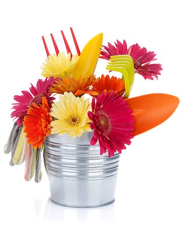 simsearch:400-08252596,k - Colorful flowers and garden tools. Isolated on white background Photographie de stock - Aubaine LD & Abonnement, Code: 400-08075667