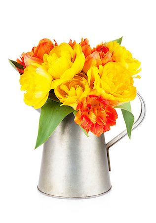 simsearch:400-08036453,k - Colorful tulips bouquet in watering can. Isolated on white background Stock Photo - Budget Royalty-Free & Subscription, Code: 400-08076146