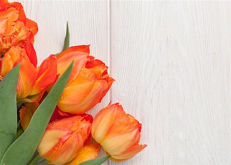 simsearch:400-08036453,k - Colorful tulips over wooden table background with copy space Stock Photo - Budget Royalty-Free & Subscription, Code: 400-08076141