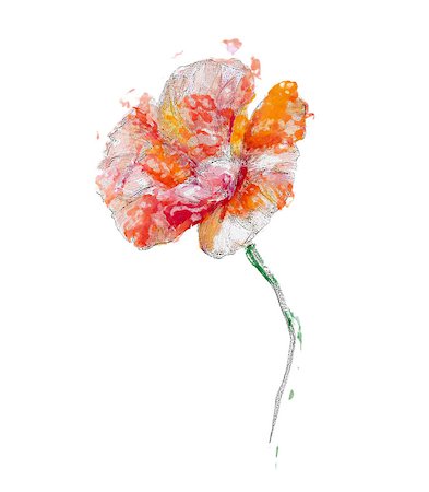 simsearch:400-07893049,k - Peony isolated on white, oil painting Photographie de stock - Aubaine LD & Abonnement, Code: 400-08076228