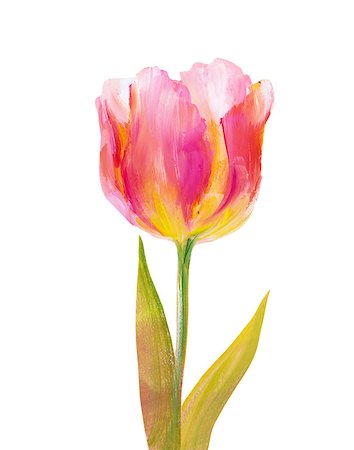 simsearch:400-07893049,k - Vintage pink tulip isolated on white. Oil painting. Photographie de stock - Aubaine LD & Abonnement, Code: 400-08076250