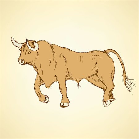 Sketch angry bull in vintage style, vector Stock Photo - Budget Royalty-Free & Subscription, Code: 400-08077634
