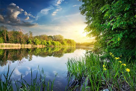 Spring river and green forest at sunset Stockbilder - Microstock & Abonnement, Bildnummer: 400-08078072