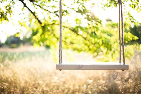 empty playground - Swing on ropes under the big tree Stock Photo - Budget Royalty-Free & Subscription, Code: 400-08078100